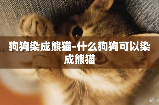 狗狗染成熊猫-什么狗狗可以染成熊猫